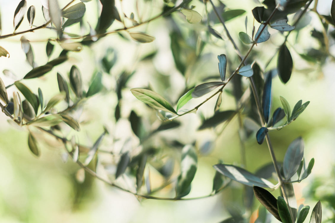 elopement-mariage-provence-nice-alpes-maritimes-fine-art-photography-jonathan-prefaut-14