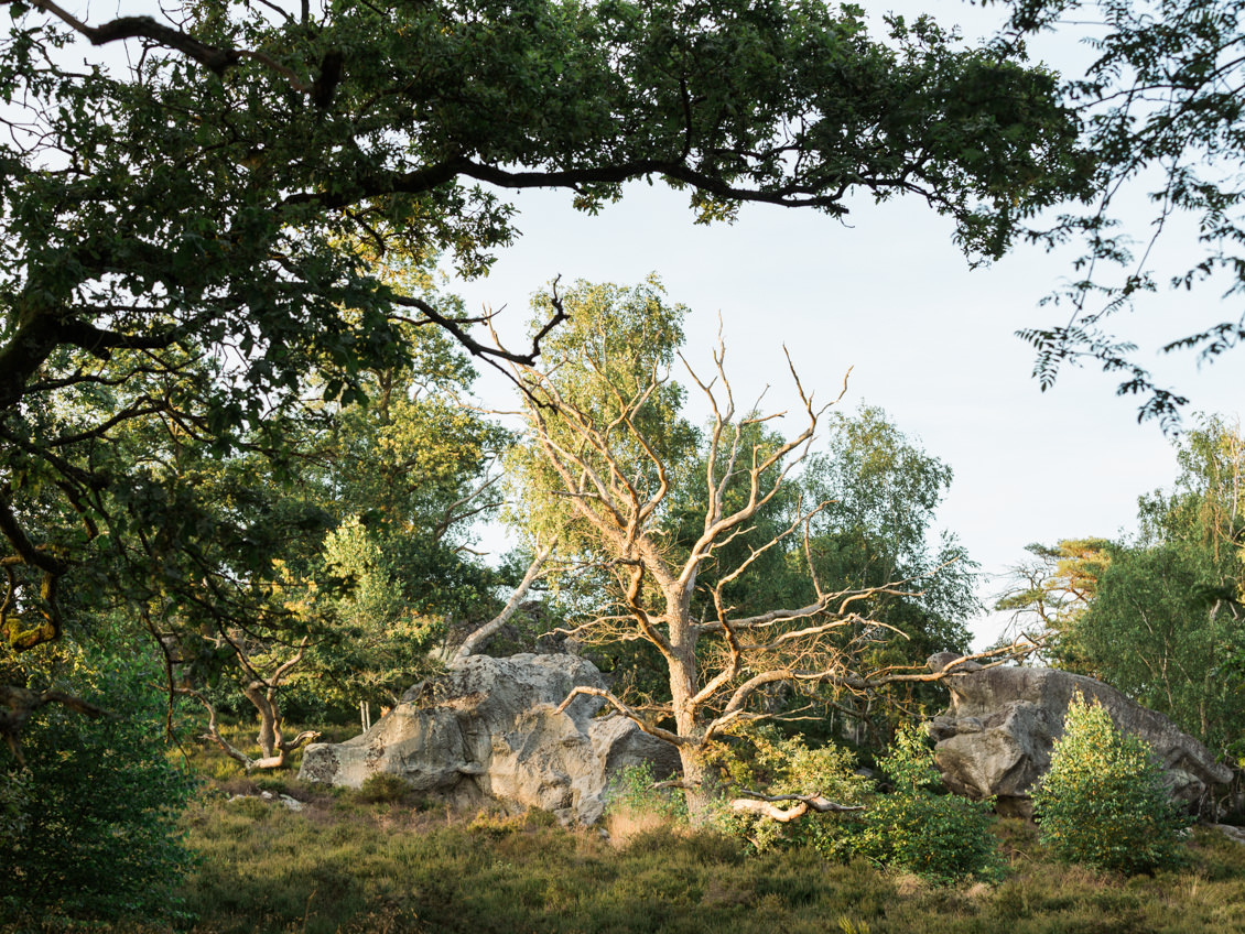 seance-portrait-nature-argentique-hottee-du-diable-aisne-picardie-jonathan-prefaut-32