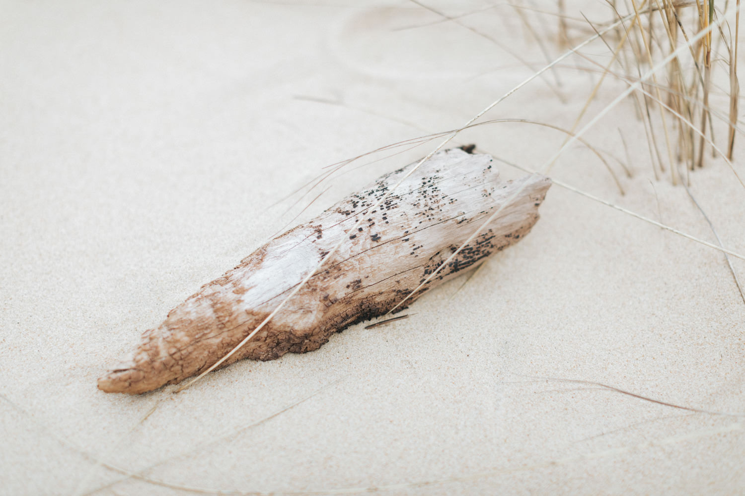 Séance engagement à la Dune du Pilat dans le bassin d'Arcachon