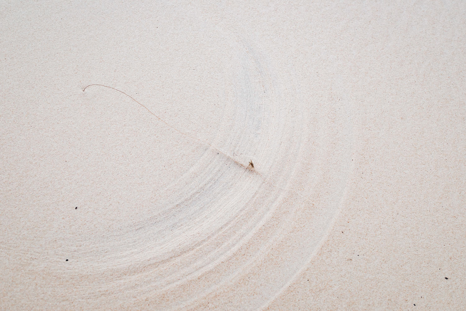 Séance engagement à la Dune du Pilat dans le bassin d'Arcachon