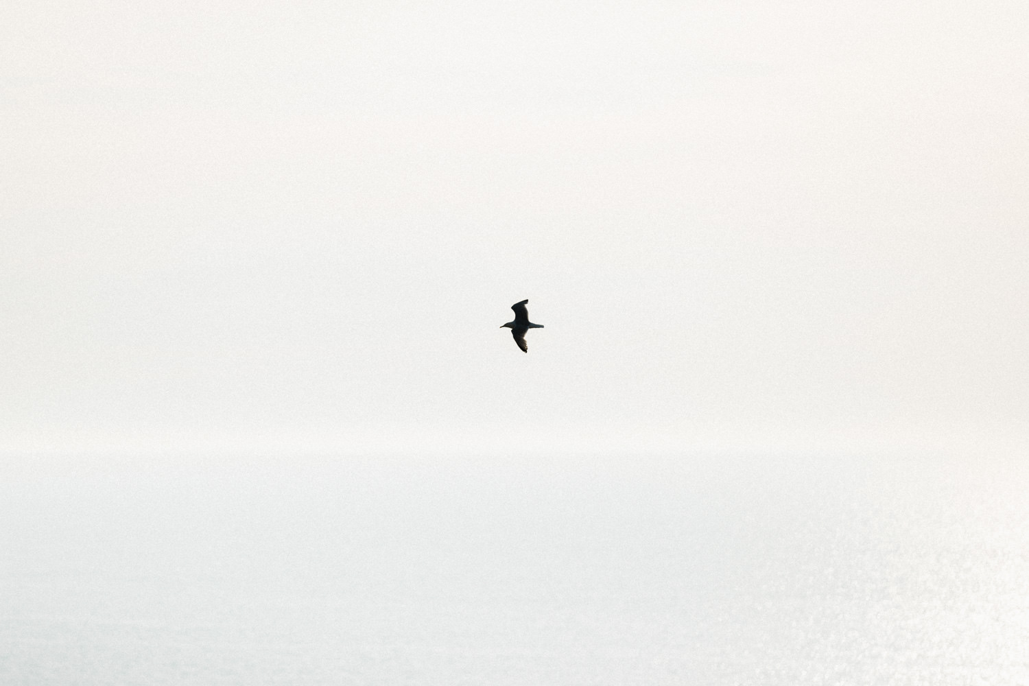 Séance engagement à Etretat en Normandie.